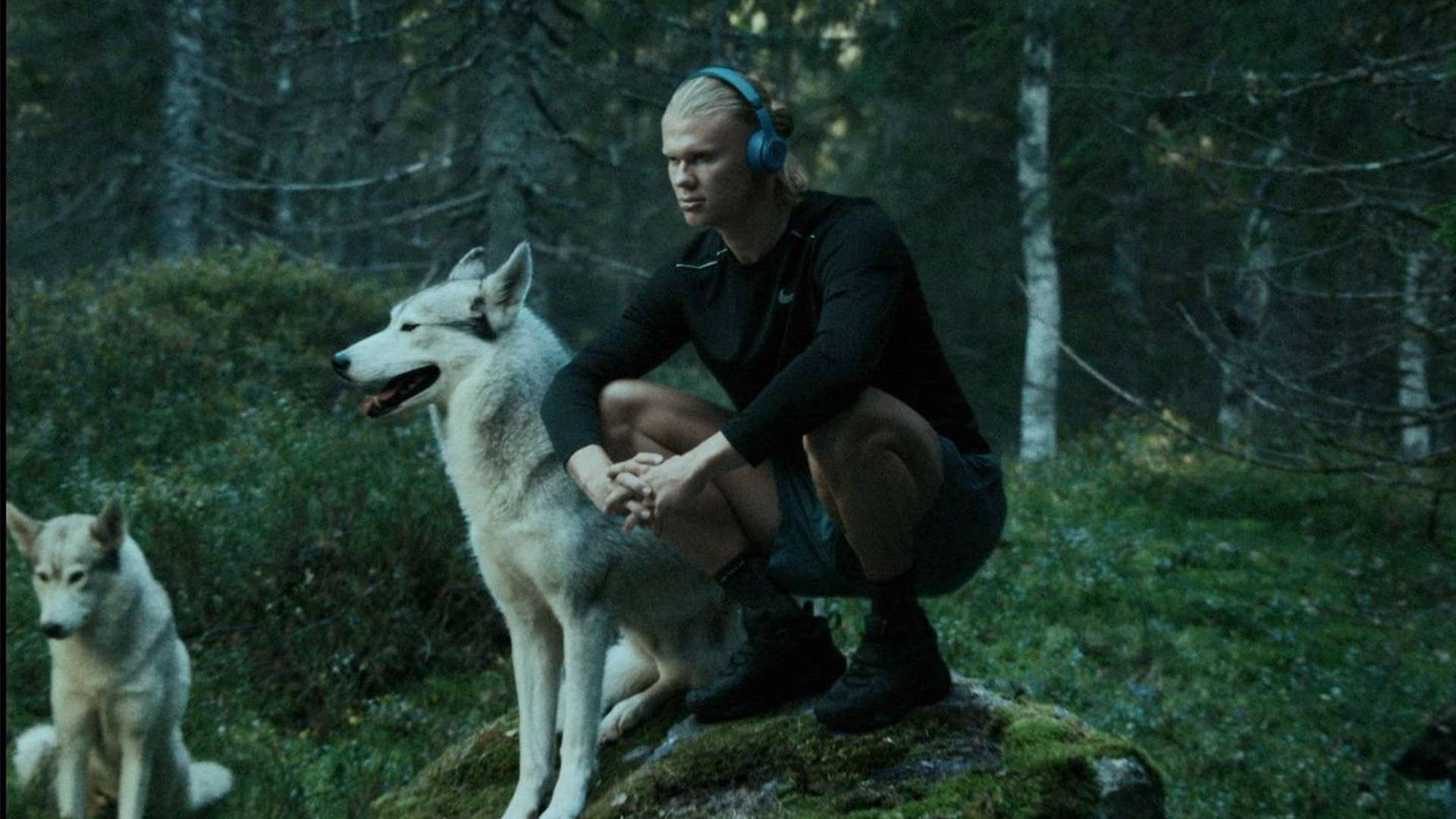 台上的激烈 台上的激烈