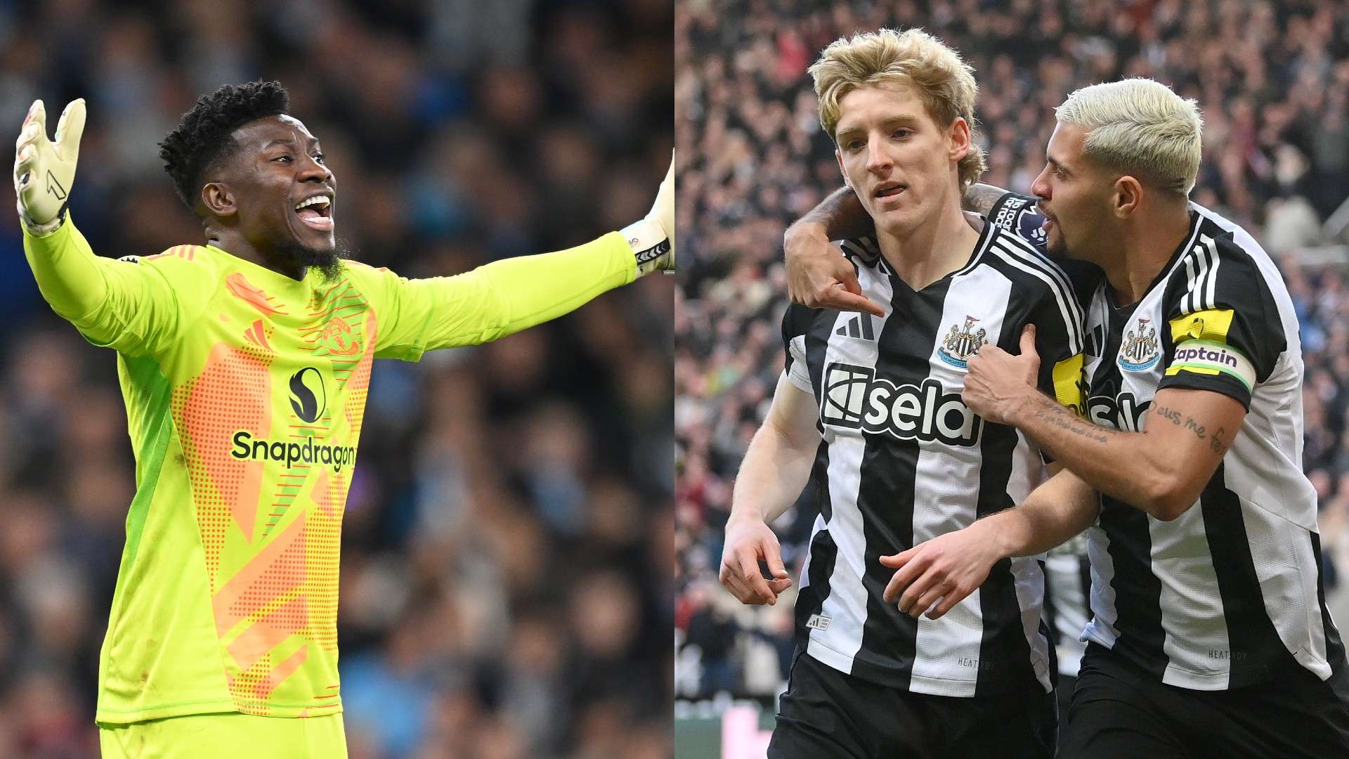 種族歧視零 種族歧視零